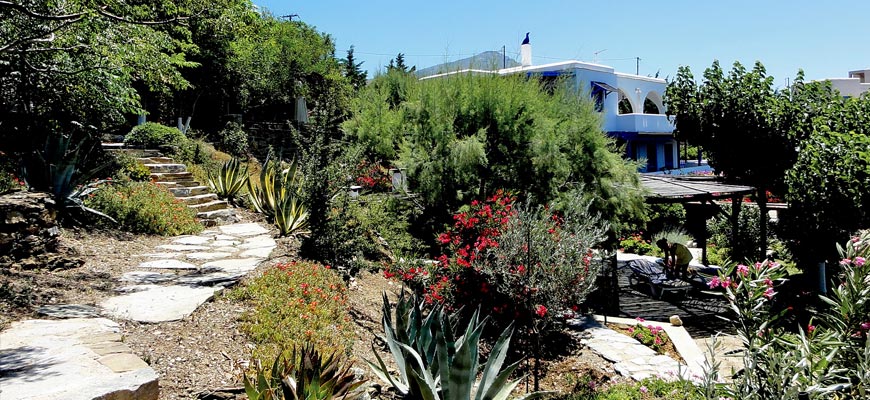 Villa Faros | Andros